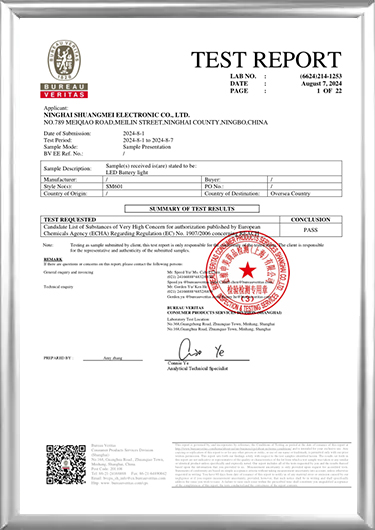 Certificato REACH